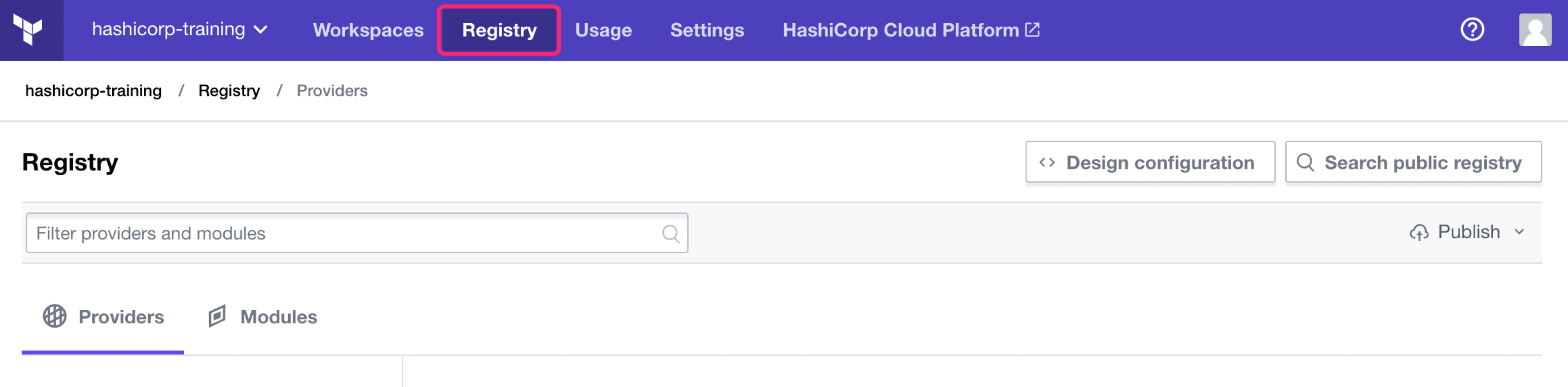 Terraform Cloud screenshot: The "registry" button