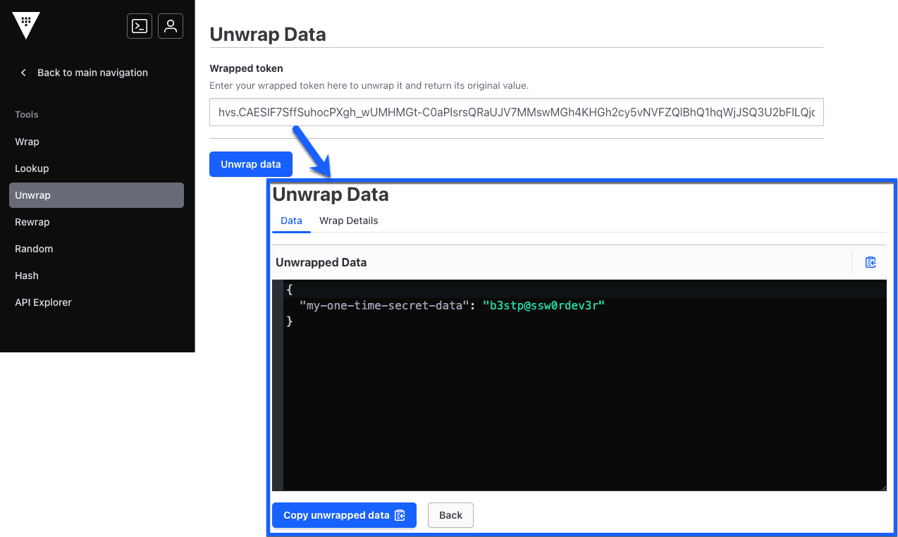 Vault UI showing the wrap tool with a sample JSON string before being
tokenized